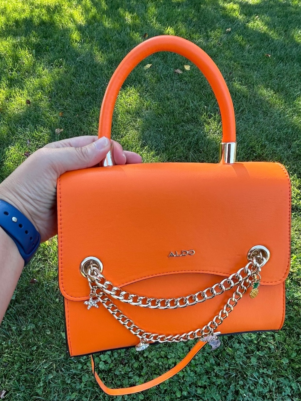Aldo Purse